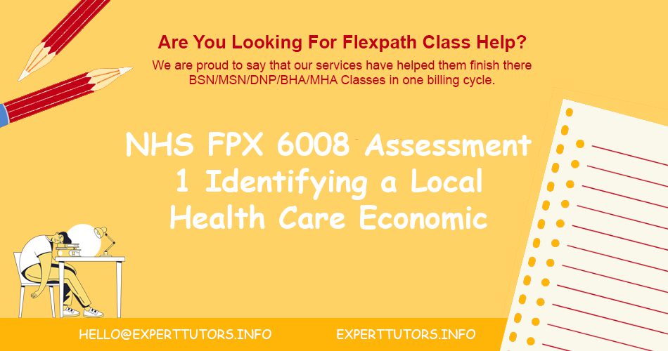 NHS FPX 6008 Assessment 1 Identifying a Local Health Care Economic Issue
