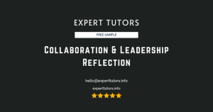 Collaboration & Leadership Reflection