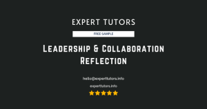 Leadership & Collaboration Reflection