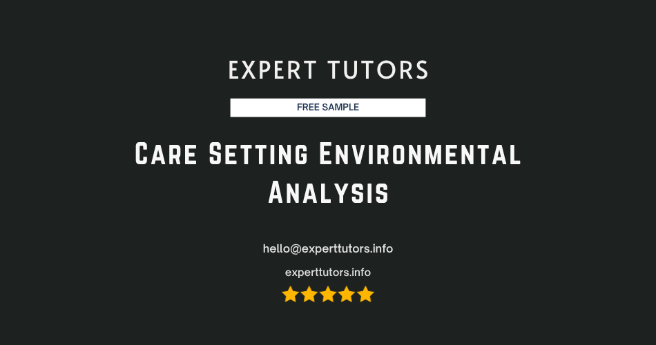 Care Setting Environmental Analysis