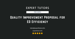 Quality Improvement Proposal for ED Efficiency