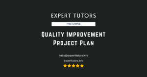 Quality Improvement Project Plan