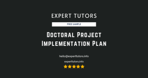 Doctoral Project Implementation Plan