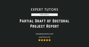 Partial Draft of Doctoral Project Report