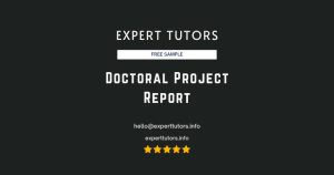 Doctoral Project Report