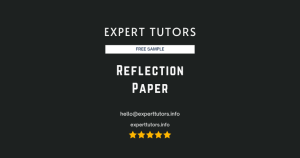 Reflection Paper