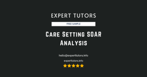 Care Setting SOAR Analysis