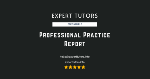 Professional Practice Report