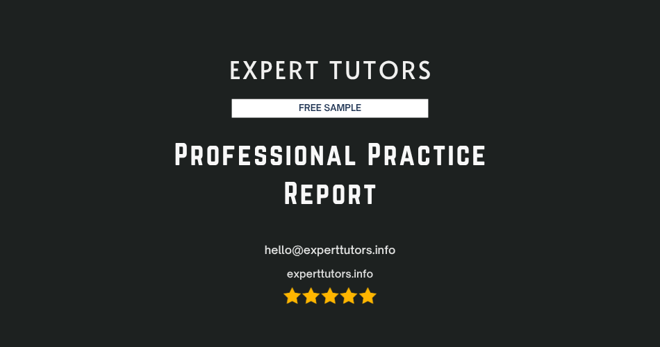 Professional Practice Report