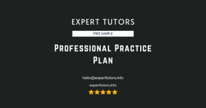 Professional Practice Plan