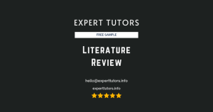 Literature Review